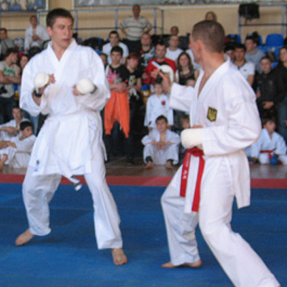Чемпіонат України з карате (версія WKGF)